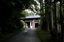 池に落ちている紅葉