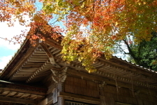 建物と紅葉